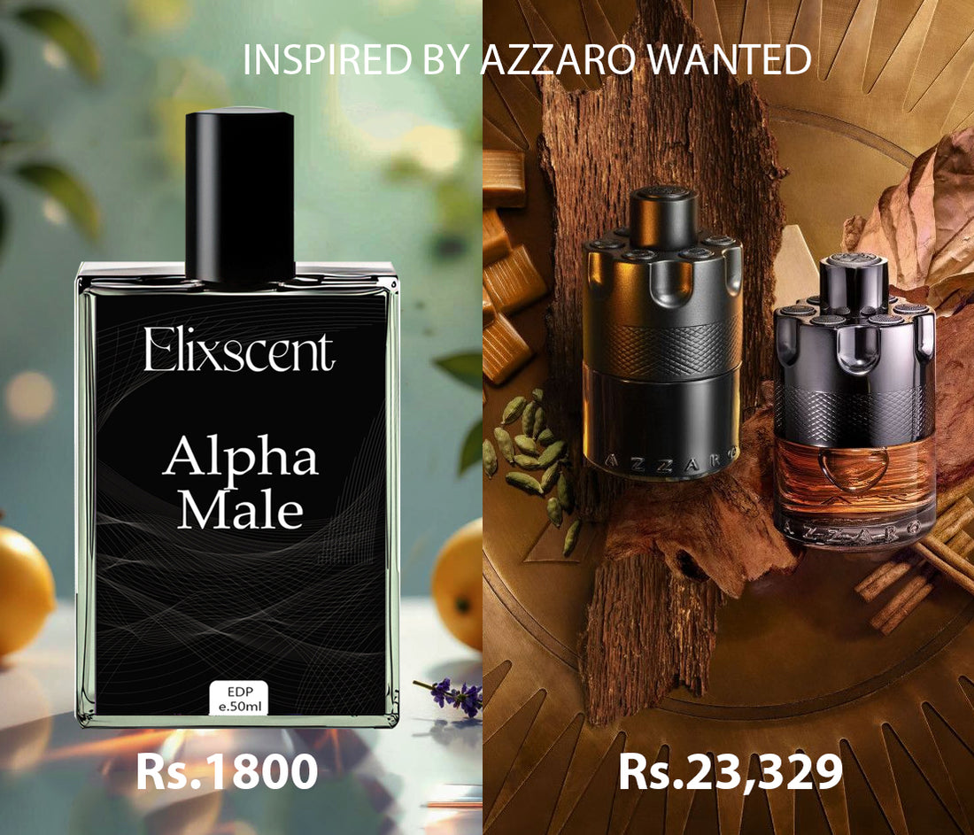 Alpha Male - Elixscent