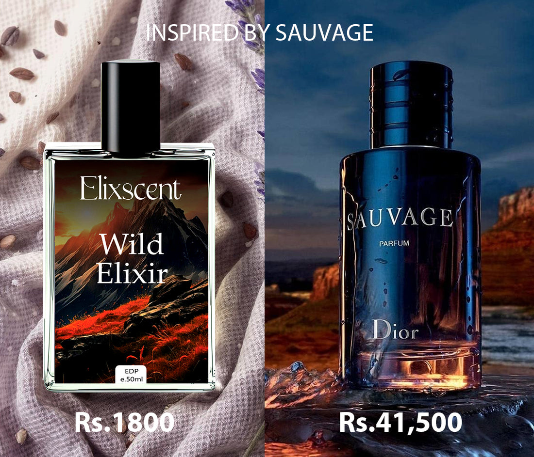 Wild Elixir Perfume for mens